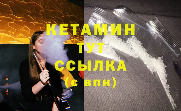 индика Дмитров