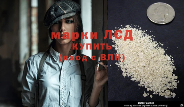 индика Дмитров