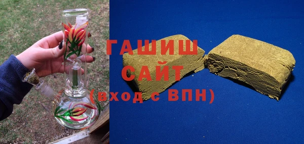 индика Дмитров