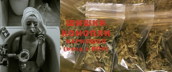 индика Дмитров