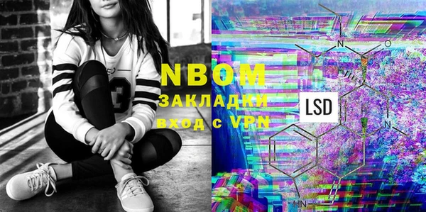 индика Дмитров