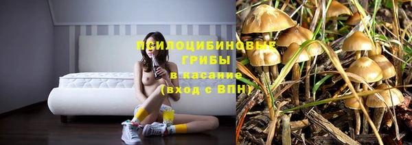 кокаин перу Дмитриев