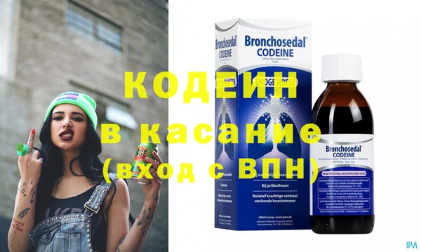 индика Дмитров