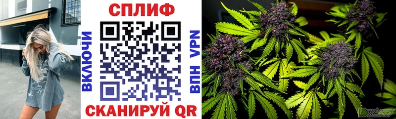 Каннабис ГИДРОПОН  ссылка на мегу рабочий сайт  Могоча 